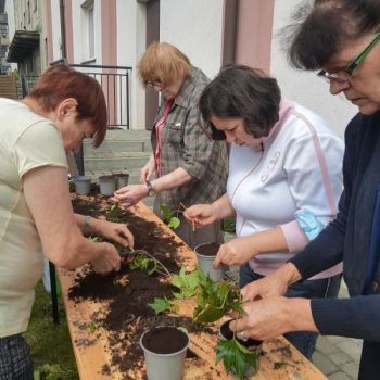 Warsztaty hortiterapeutyczne