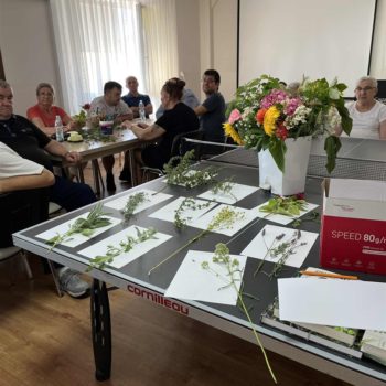 W&nbsp;krainie roślin