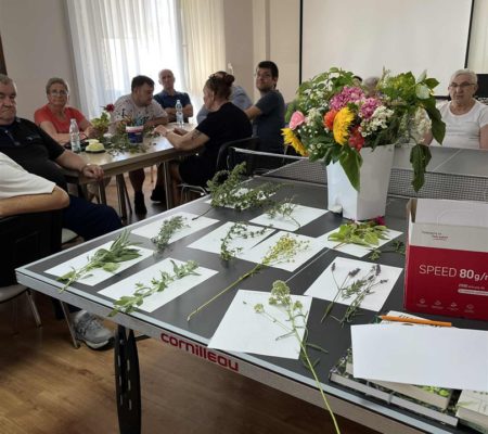 W&nbsp;krainie roślin