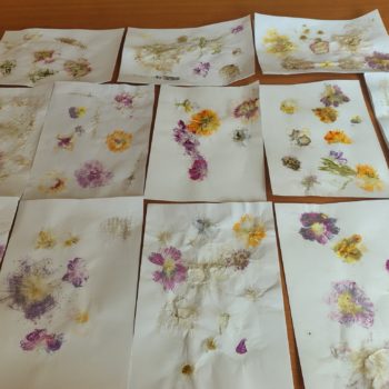 Warsztaty florystyczne