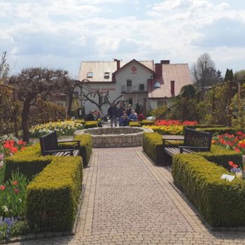 Renowacja pracowni hortiterapii – Ogrodu Biblijnego w&nbsp;Proszowicach